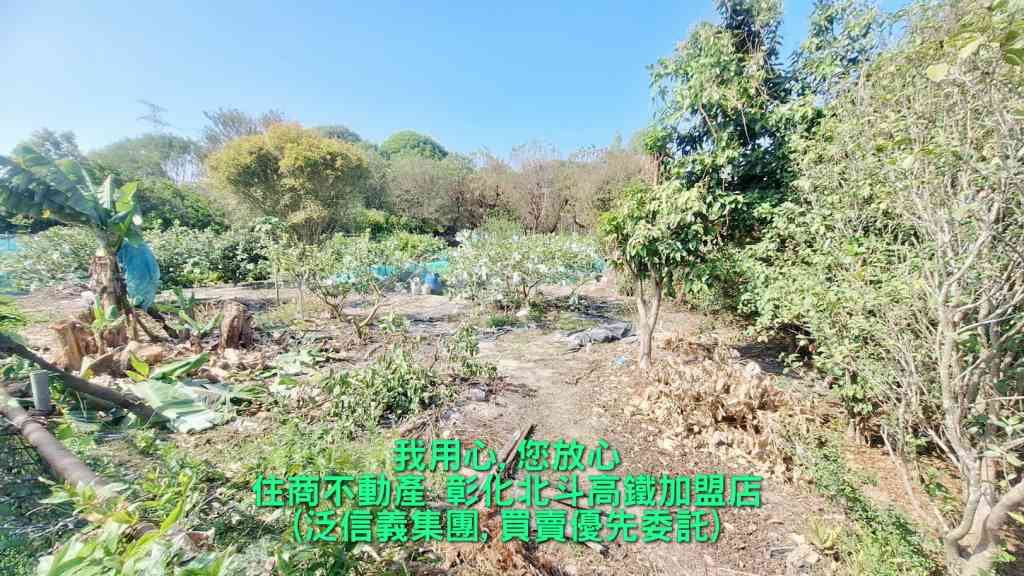 北斗黃昏市場大面寬旗艦美田(111833)-住商不動產視意圖