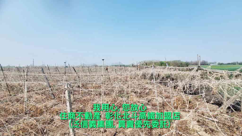 埤頭大湖雙面路美田(254413)-住商不動產視意圖